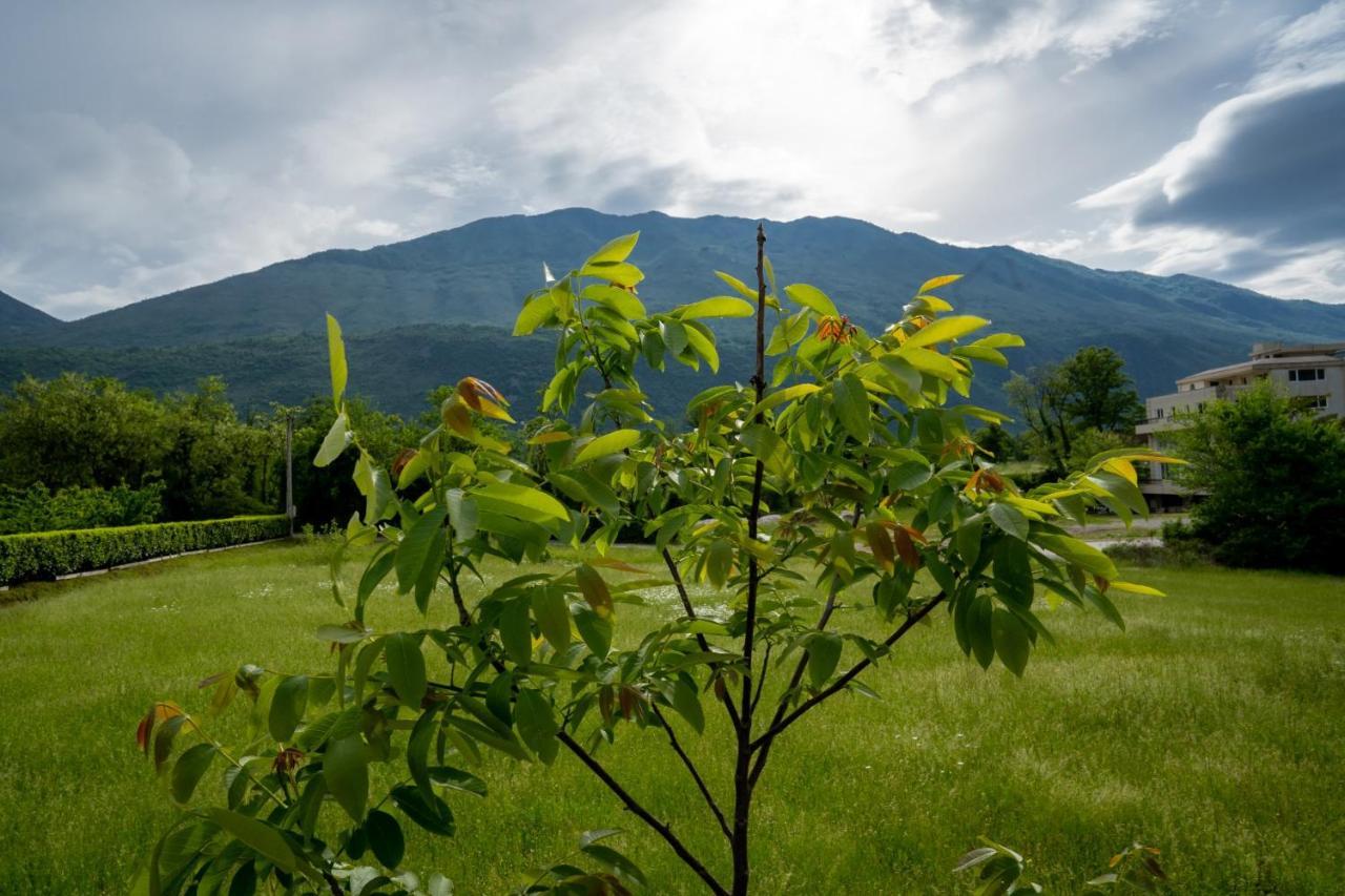 Seosko Domacinstvo Jovanovic Danilovgrad Buitenkant foto