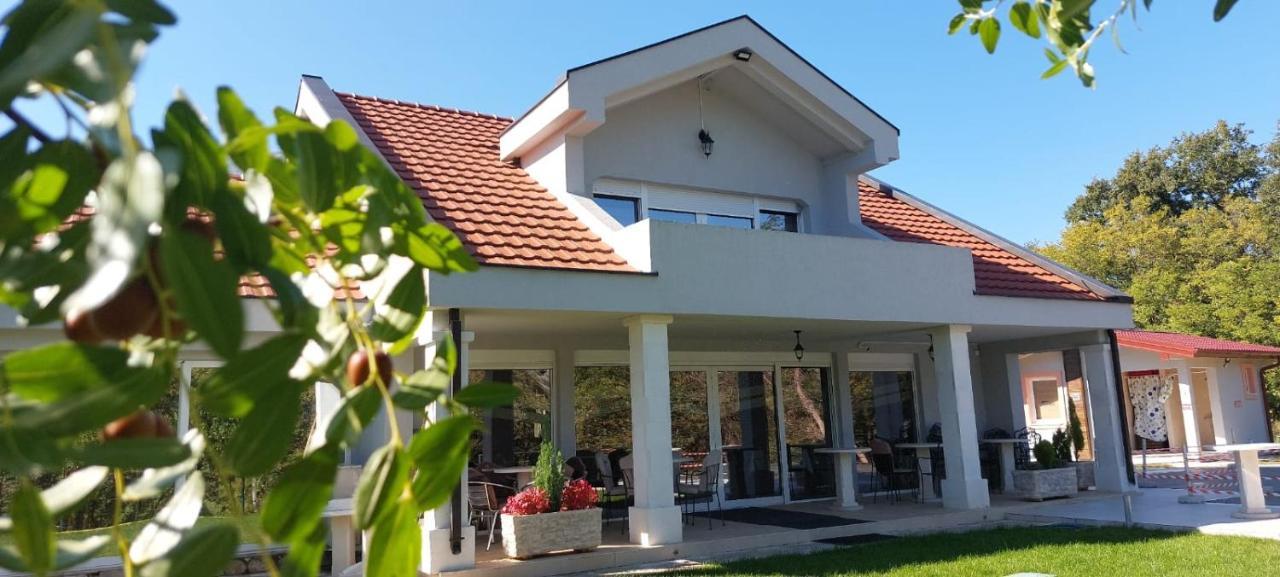 Seosko Domacinstvo Jovanovic Danilovgrad Buitenkant foto